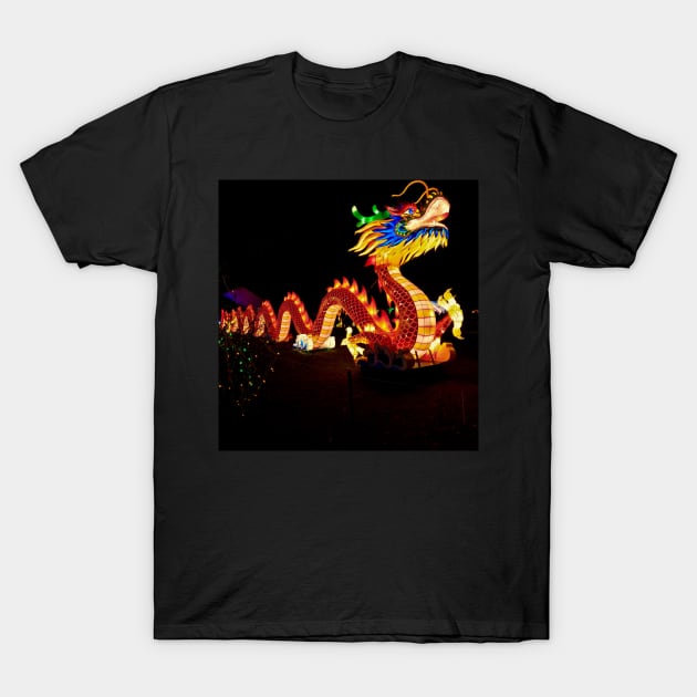 Chinese dragon T-Shirt by djil13